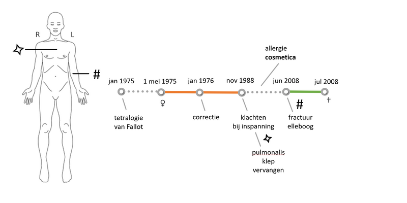 Tijdlijn-bgz-msz-patD-v122a.png